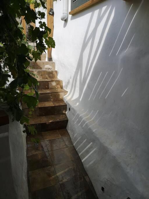 Souterrain Fuer Max 2 P., Bad, Aussenkueche, Garten Guimar Luaran gambar